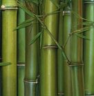 Korkové prostírání S/4ks RY-159 Bambus - malé