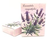 Mdlo v krabice 40g - Lavandula Augustifolia